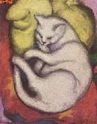Kater auf gelbem Kissen nach Marc